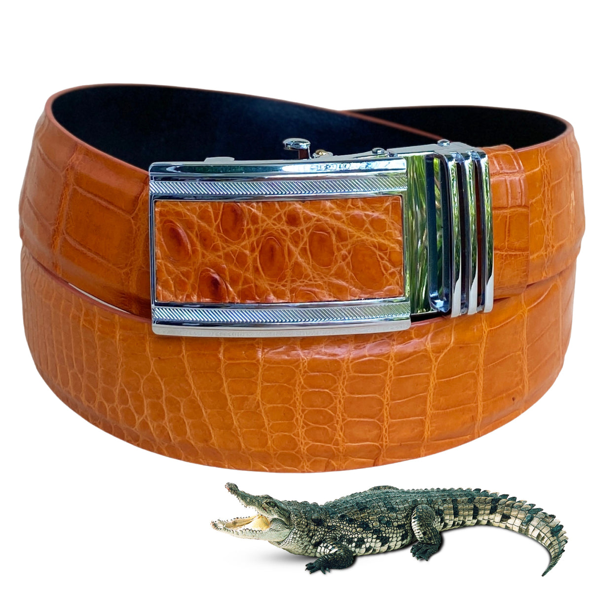 Tan Crocodile Belt for Men 47