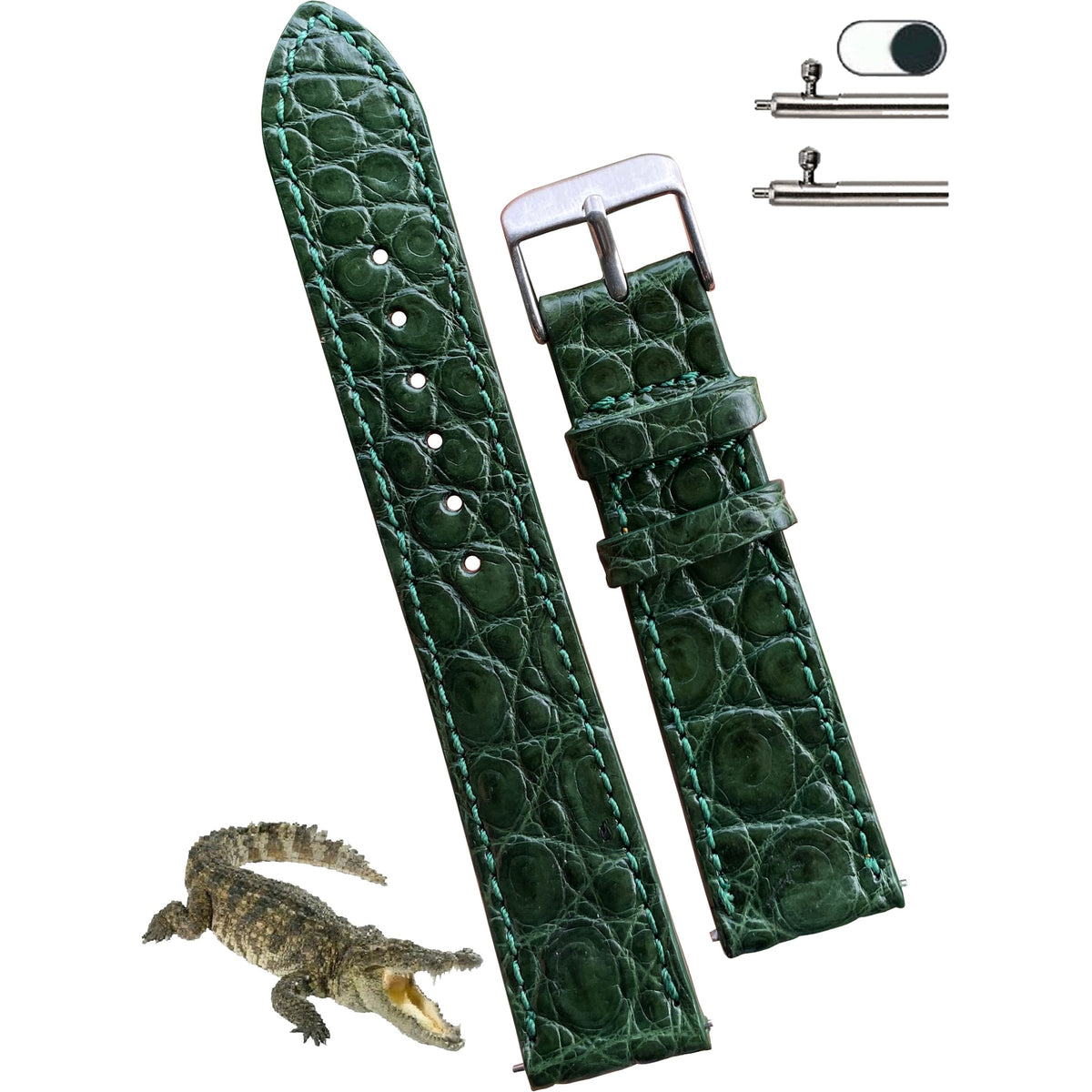 Green Alligator Leather No Padding and Flat Watch Band For Men Vinacreations