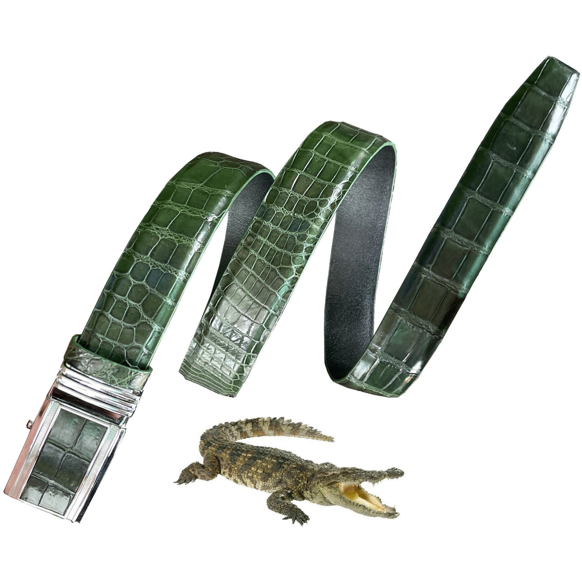 小物 Faith by luis GREEN CROCODILE BELT-Green Faith By Luis Crocodile Belt Green in Faux Leather - US