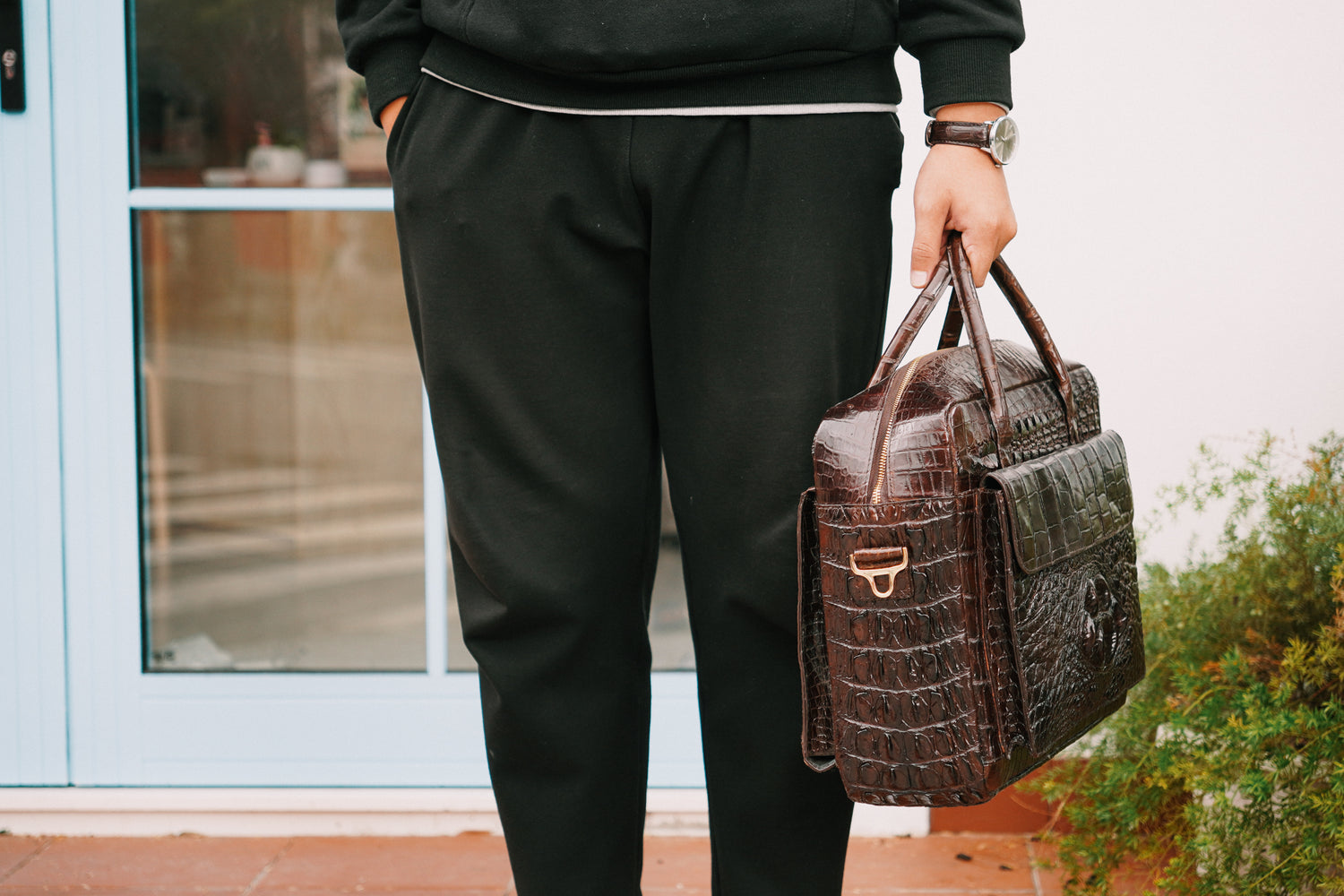 Alligator Bag