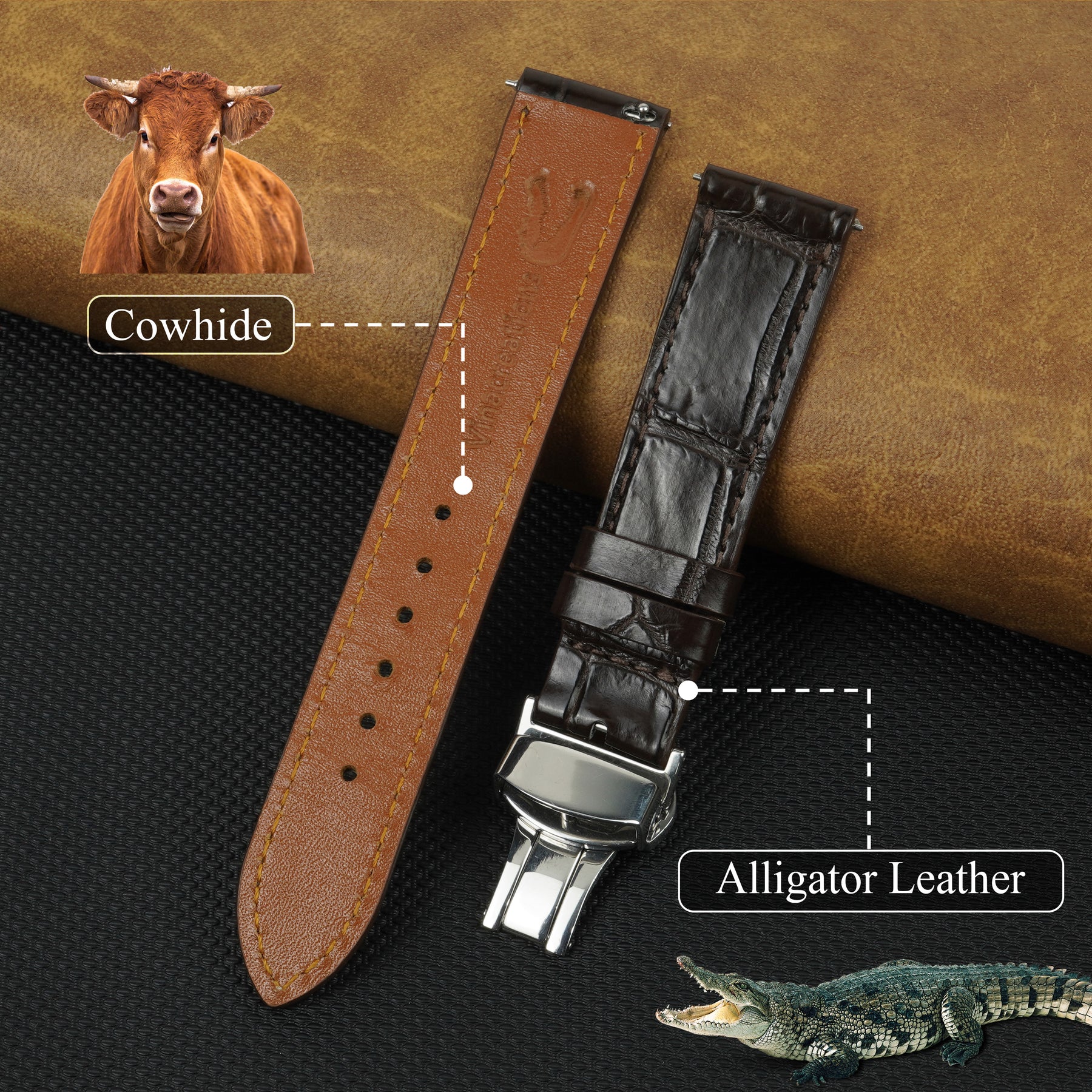 Dark Brown Flat Alligator Belly Leather Watch Strap with Deployment Clasp
