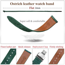 Slim Green FLat Ostrich Leather Watch Band width Deployment Clasp