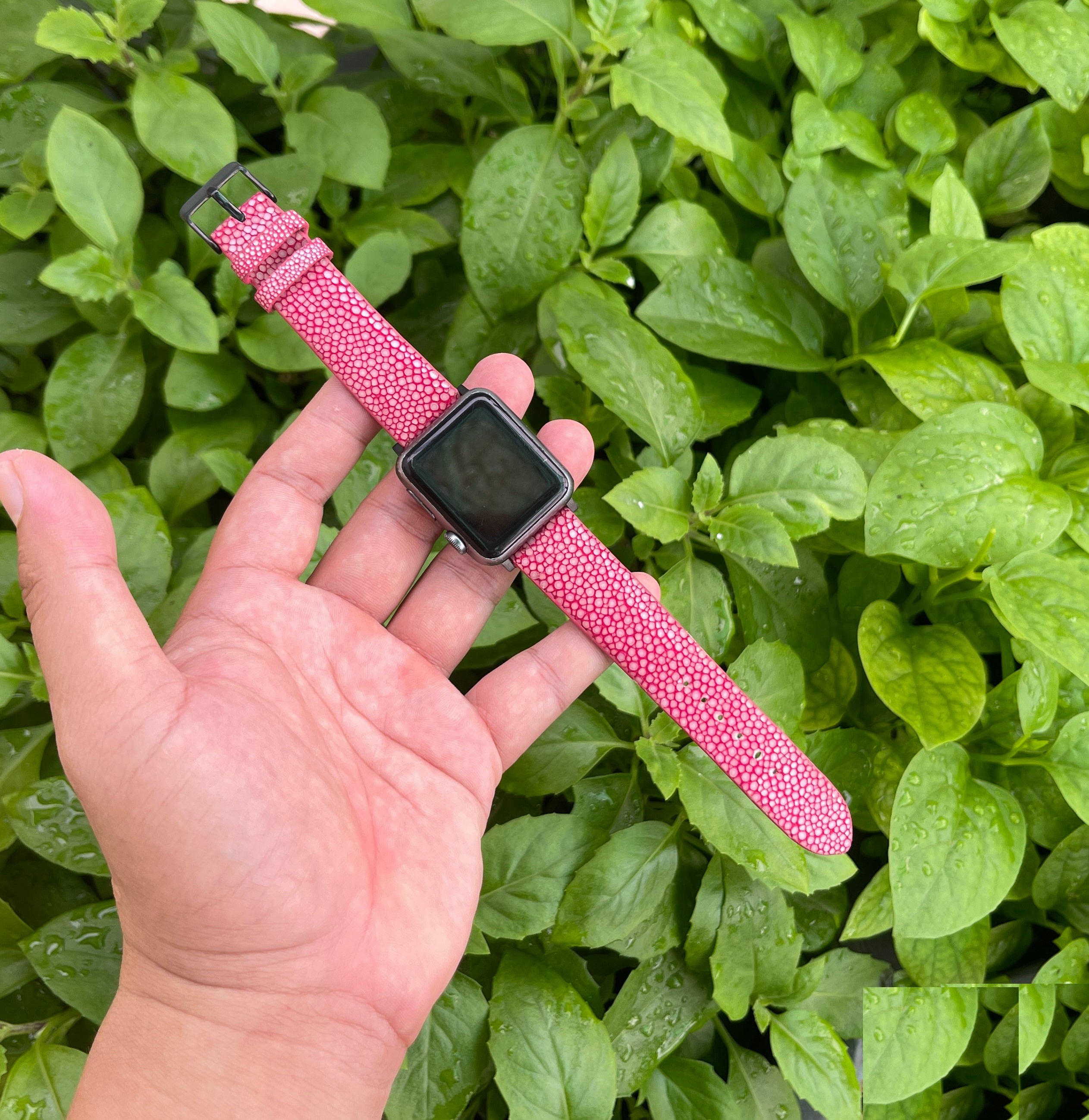 Pink Stingray Leather Strap for Apple Watch