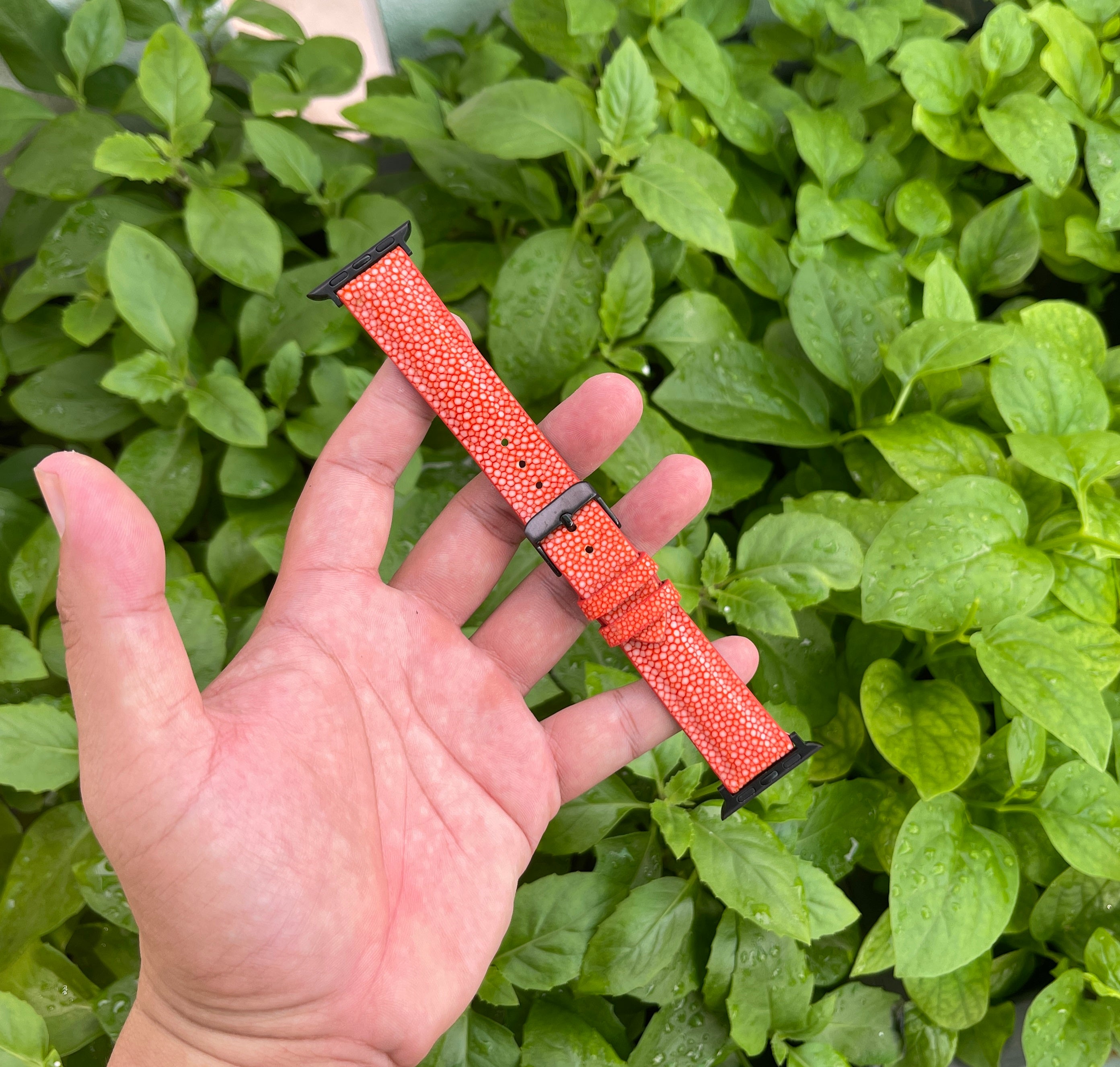 Orange Stingray Leather Watch Band Compatible with Apple Wa