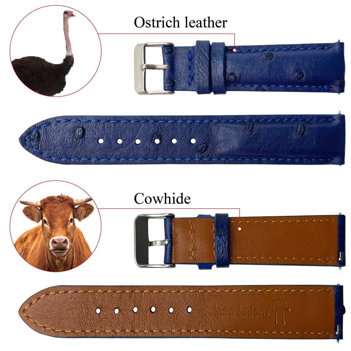 Blue Genuine Ostrich Leather Watch Strap Quick Release