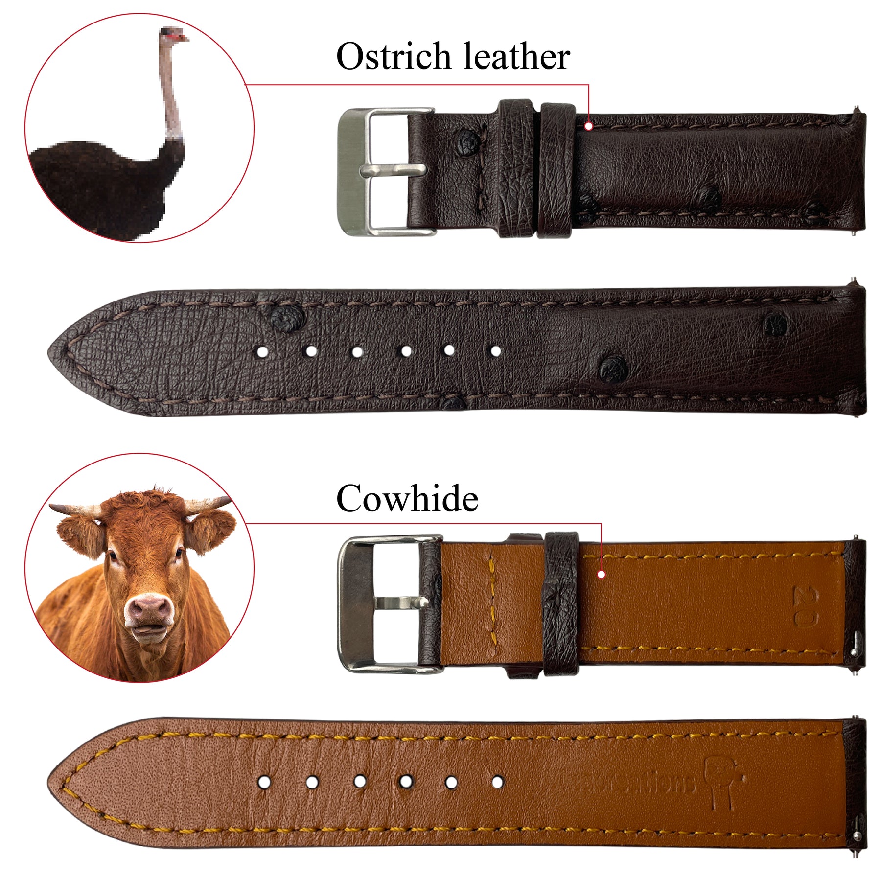 Dark Brown Genuine Ostrich Leather Watch Strap Quick Release