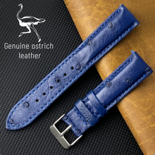 Blue Genuine Ostrich Leather Watch Strap Quick Release