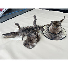 Alligator Cowboy Hat | Mens Crocodile Skin Western Style Hat With Chin Cord | HAT-VANH-05 - Vinacreations