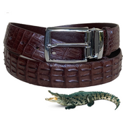 Luxury Dark Brown Alligator HornBack Leather Belt For Men - Pin Buckle | BEHO33-PIN