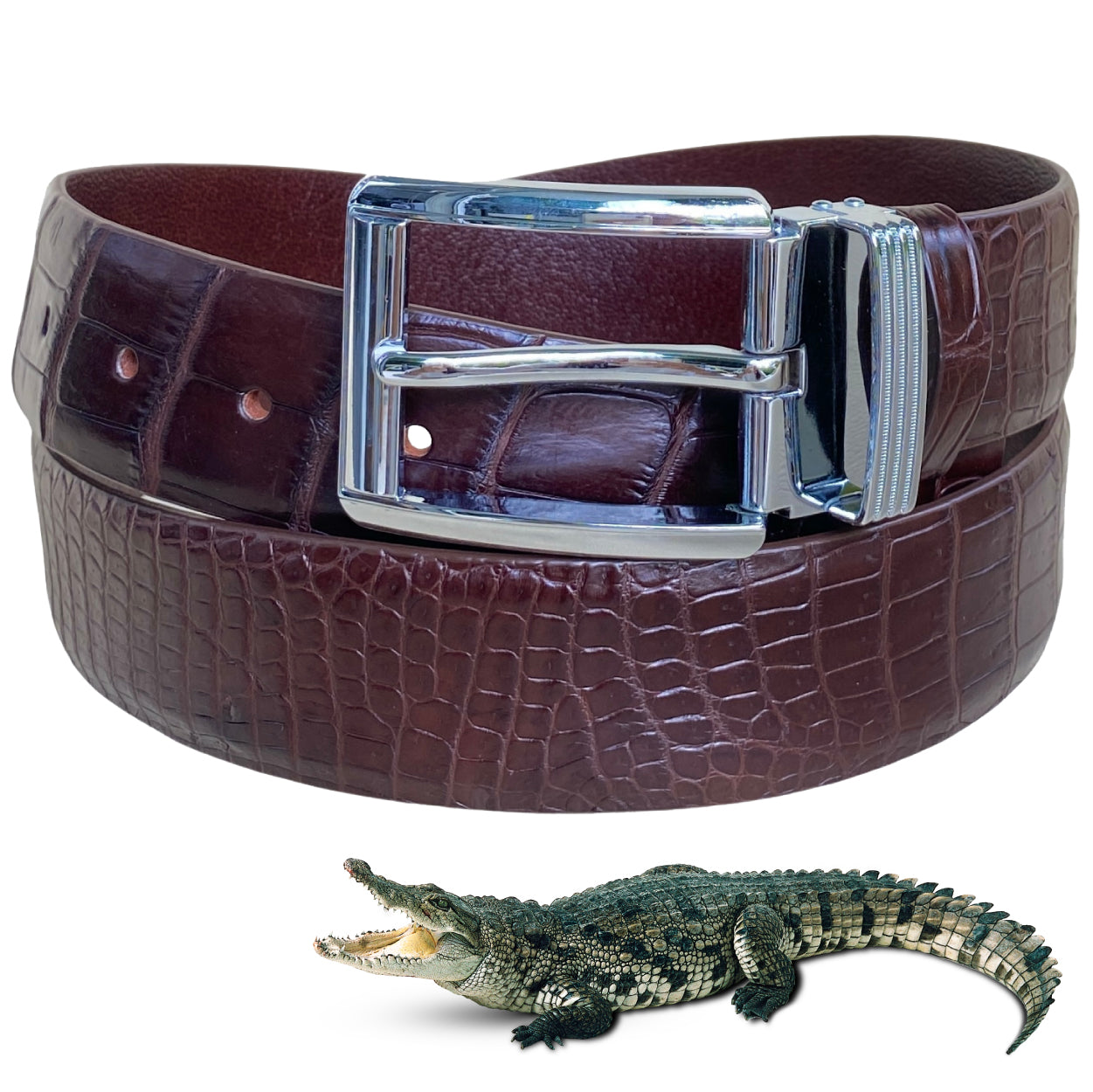 小物 mertra Alligator Skin Belt (Wine) S-M Alligator Skin Belt (Black) - MERTRA