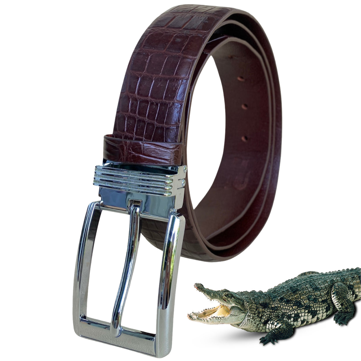 Premium Dark Brown Alligator Belt Men's - Pin Buckle 