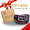 Premium Dark Brown Alligator Belt Men's - Pin Buckle 