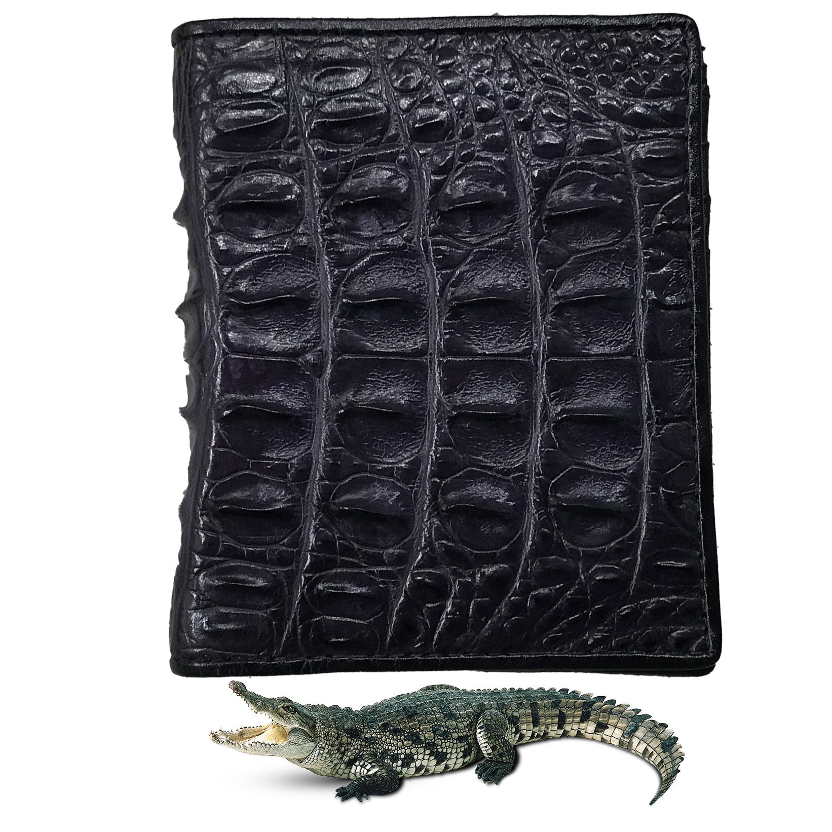 Black Alligator Horn Back Skin Bifold Vertical Wallet For Men | Handmade Crocodile Leather Wallet RFID Blocking | VL5712 - Vinacreations