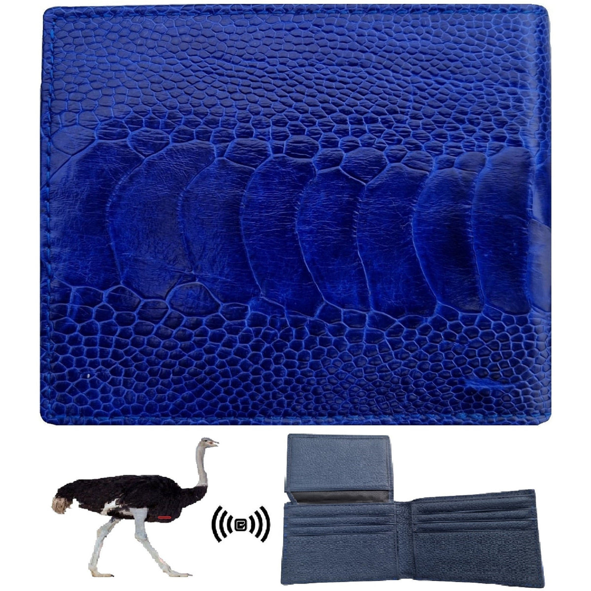 Blue Ostrich Leather Double-Side Wallet for Men | VINAM-04 - Vinacreations