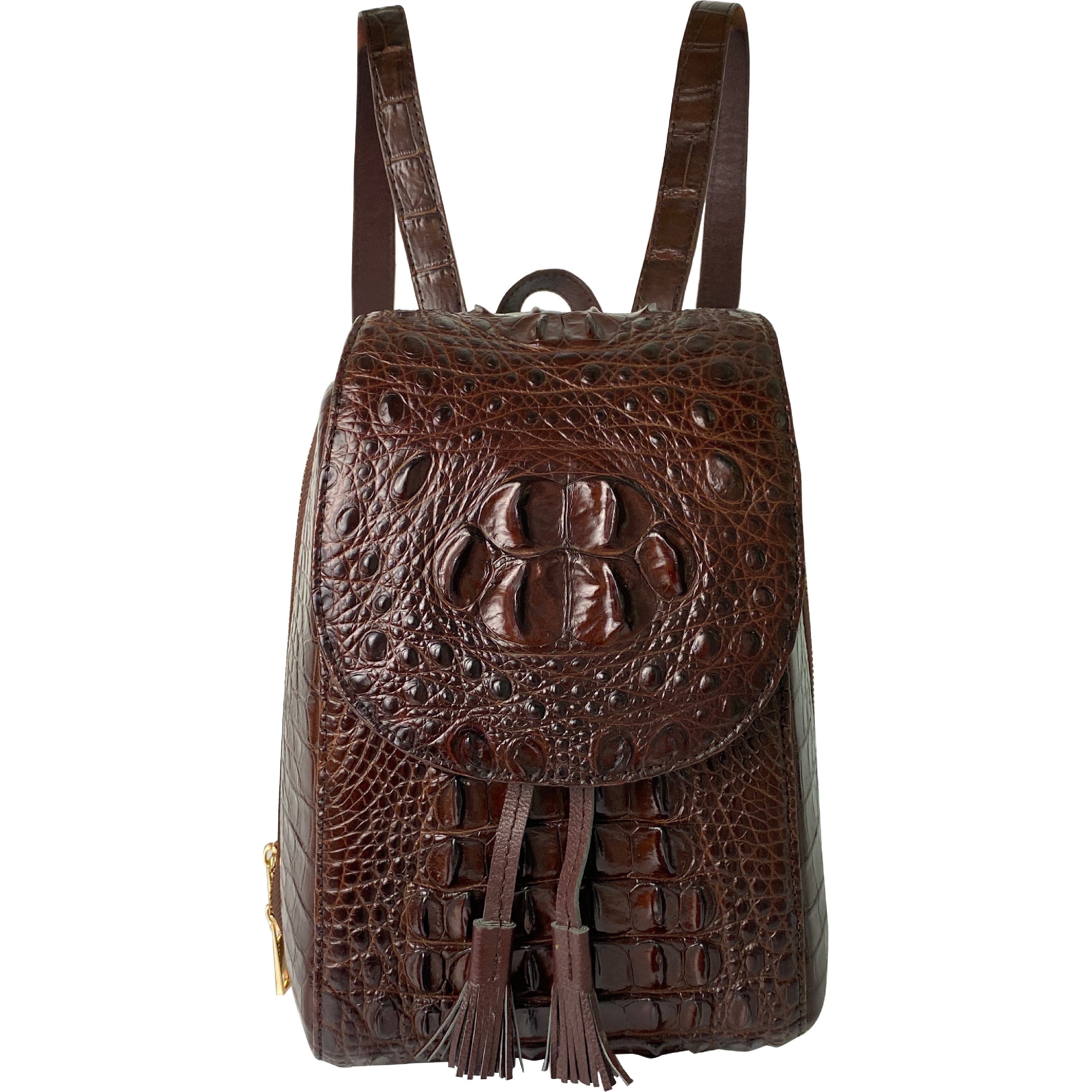 Brown Alligator Leather Backpack Rucksack Women, Small Unique Bag