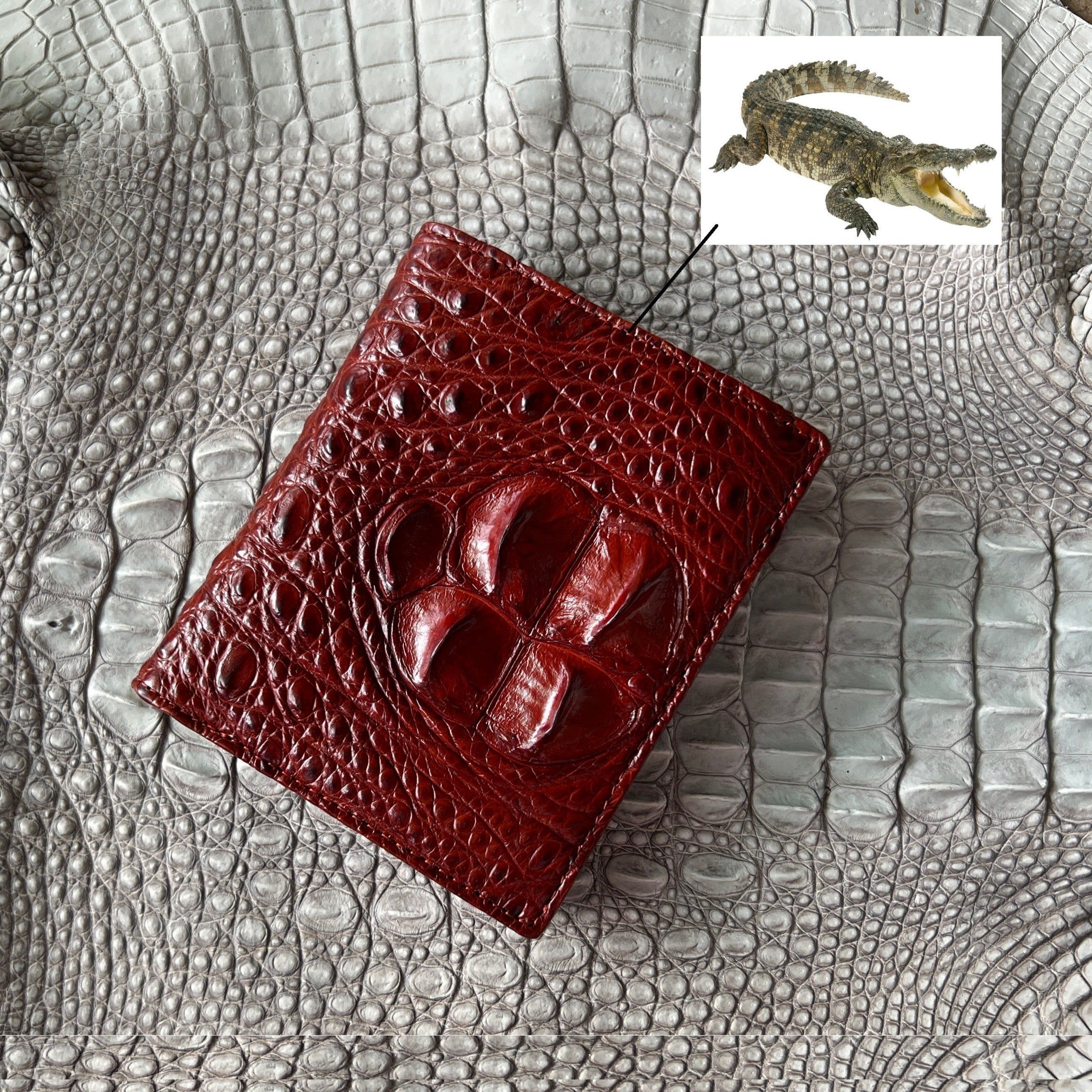 Brown Alligator Skin Bifold Wallet For Men | Handmade Crocodile Leather Wallet RFID Blocking | VL2117 - Vinacreations