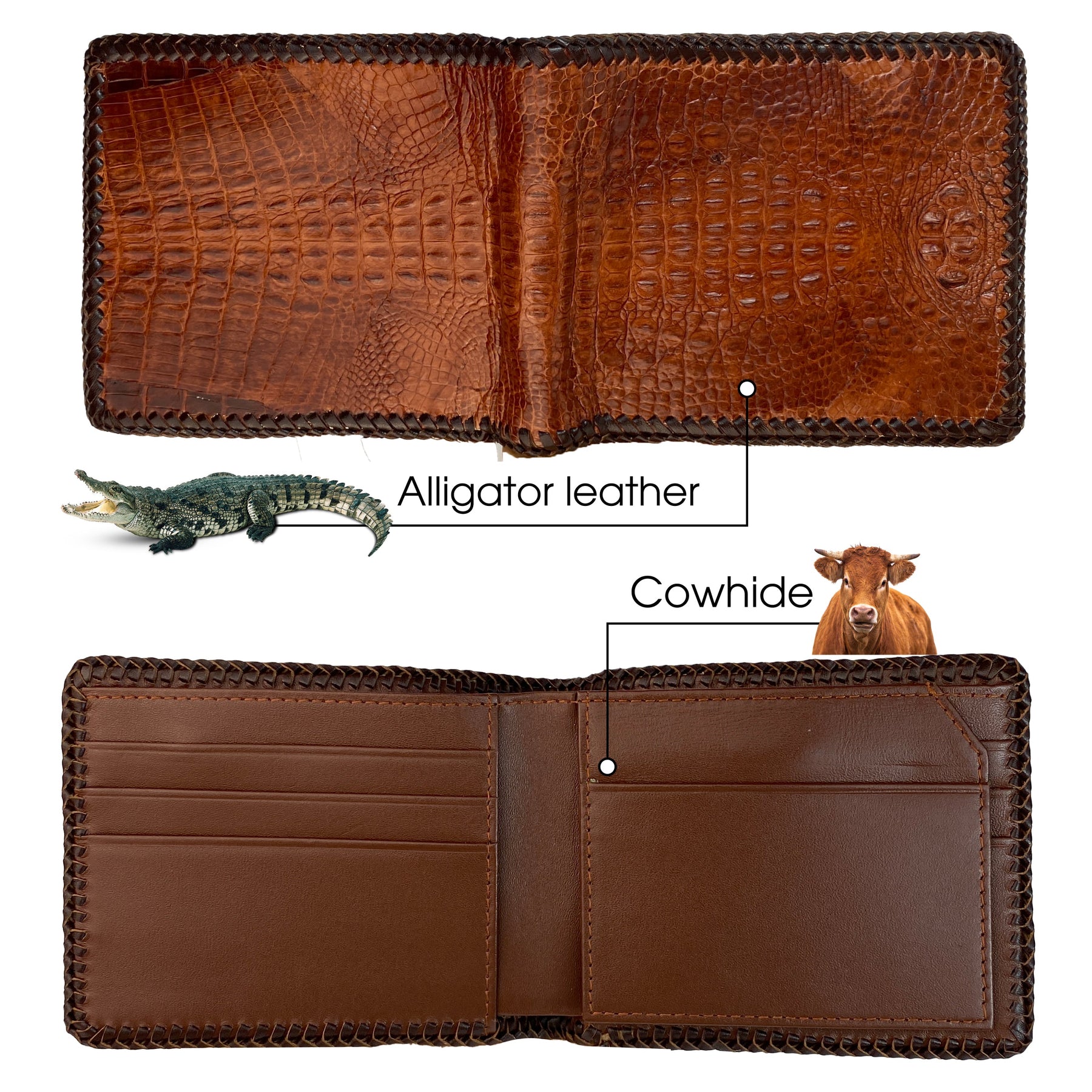 Brown Hornback Alligator Leather Bifold Wallet Knitting Edge | VINAM-01 - Vinacreations