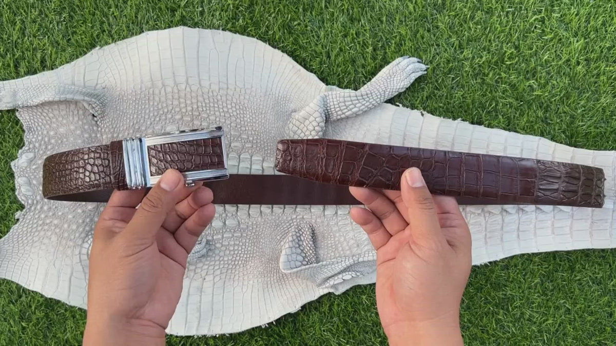 Dark Brown Alligator Hornback  Leather Belt For Men - Automatic Buckle | BEHO33