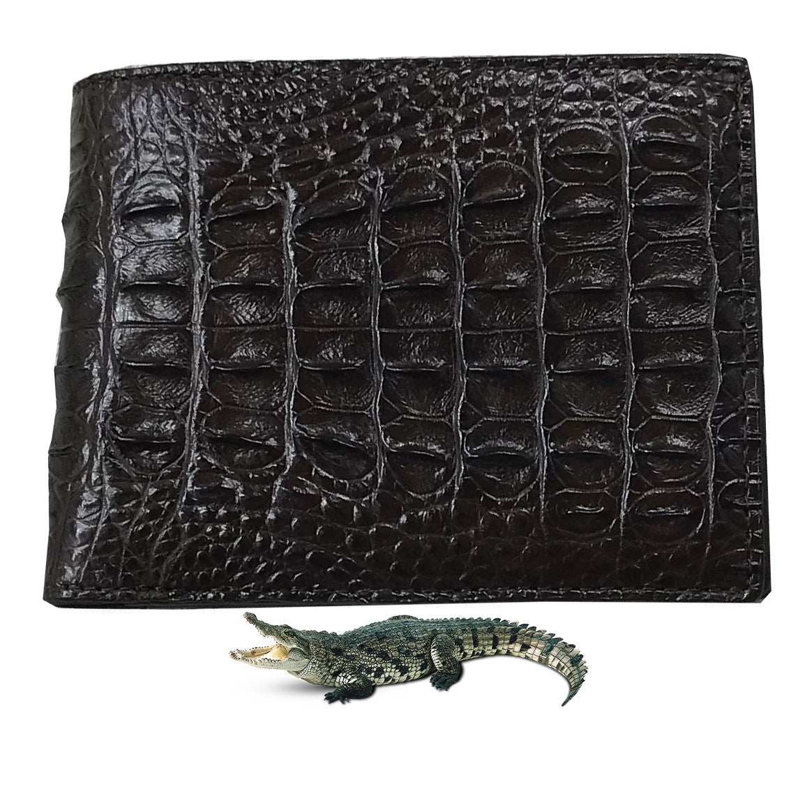 Dark Brown Alligator Horn Back Skin Bifold Wallet For Men | Handmade Crocodile Leather Wallet RFID Blocking | VL5734 - Vinacreations
