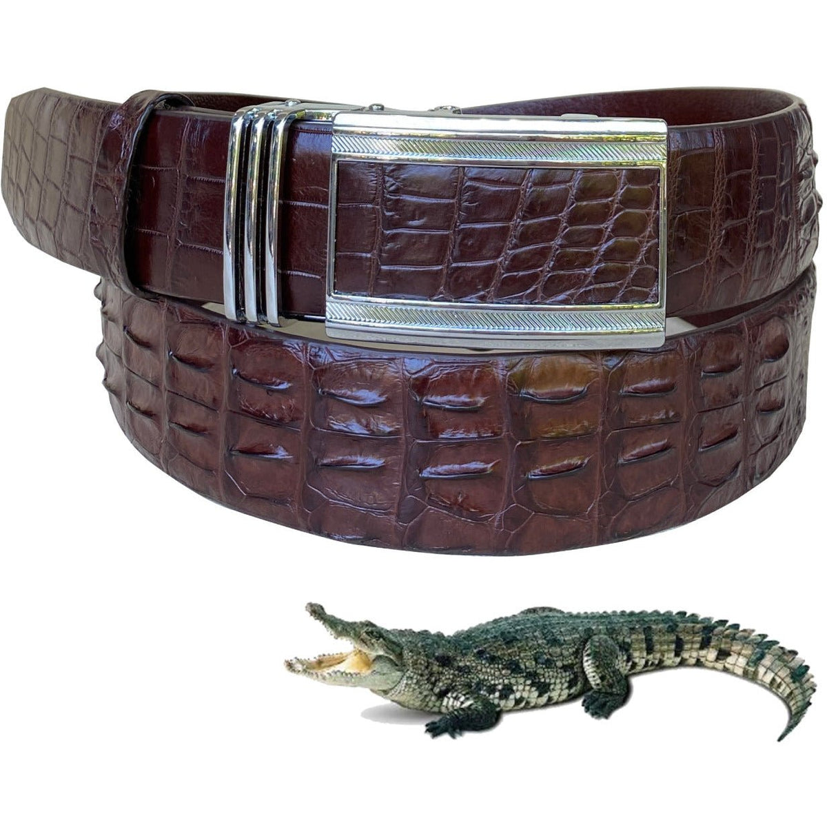 Dark Brown Alligator Hornback Leather Belt For Men - Automatic Buckle | BEHO33 - Vinacreations