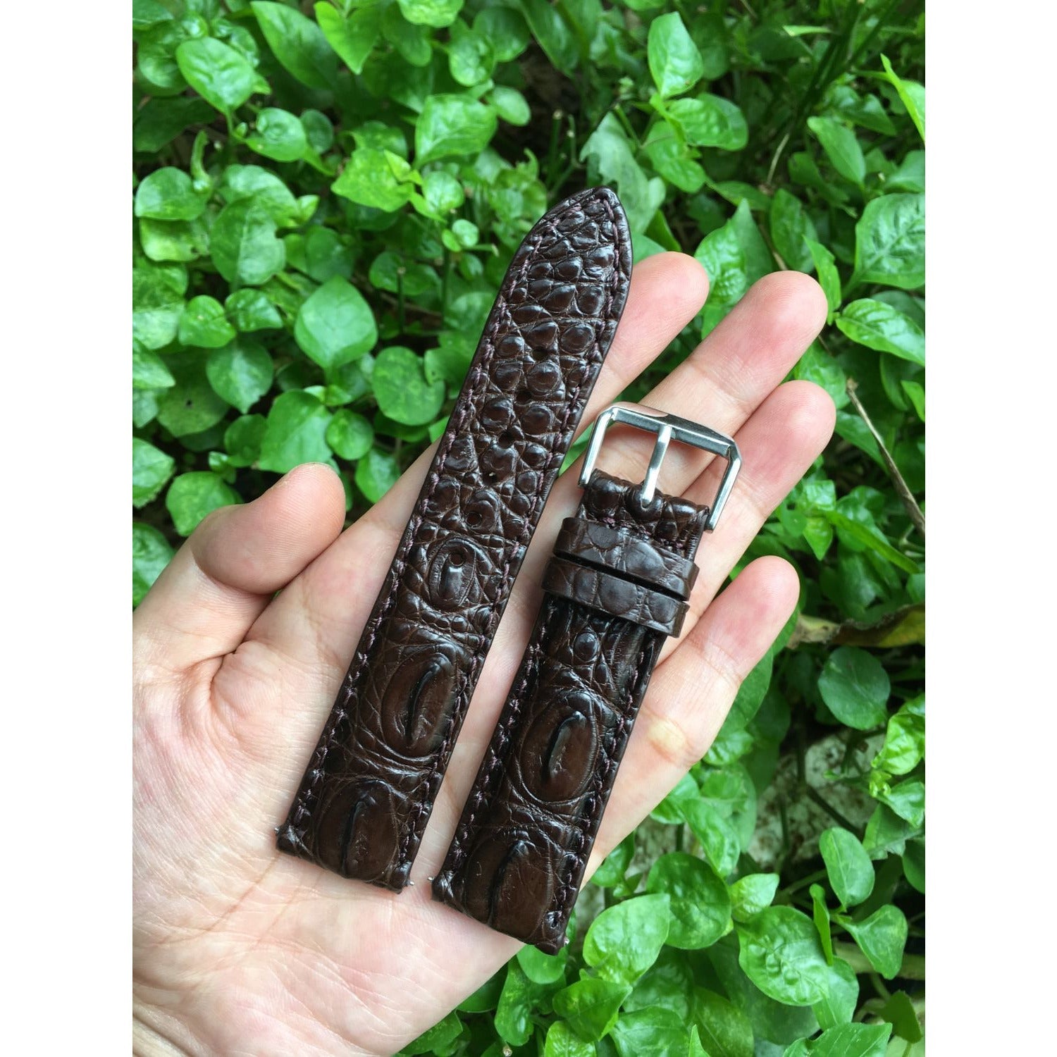 Dark Brown Alligator Leather Watch Band | Crocodile Quick Release Replacement Strap | DH-37 - Vinacreations