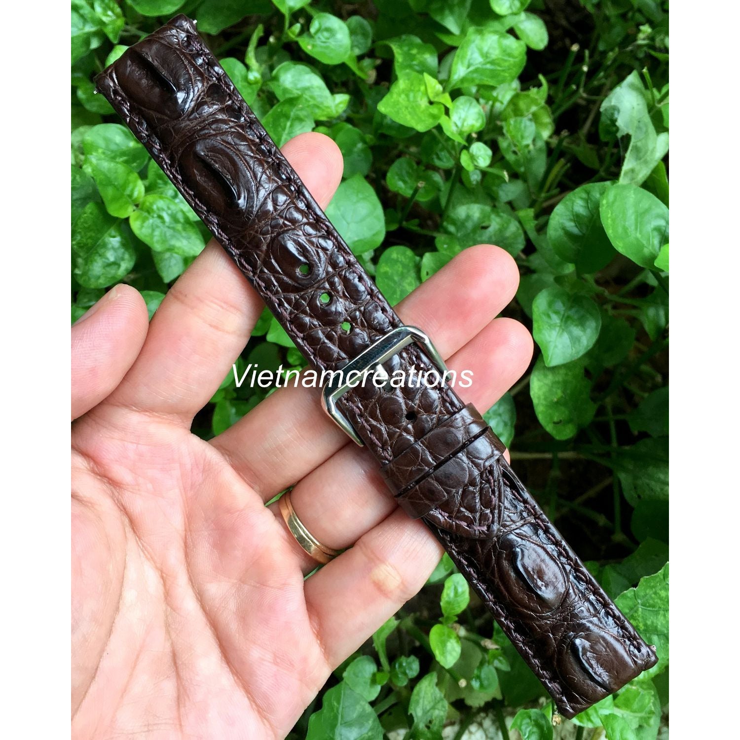 Dark Brown Alligator Leather Watch Band | Crocodile Quick Release Replacement Strap | DH-37 - Vinacreations