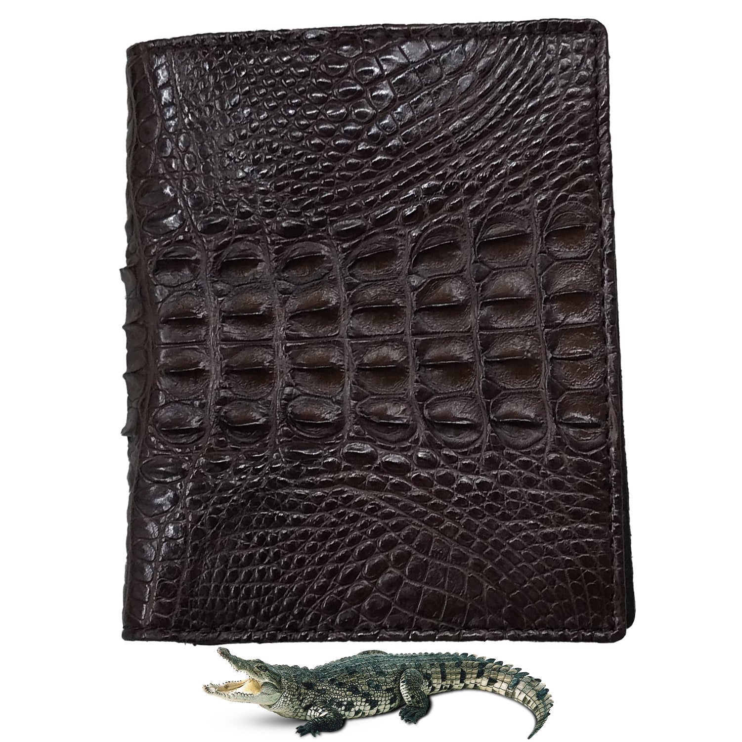 Dark Brown Alligator Skin Bifold Vertical Wallet For Men | Handmade Crocodile Leather Wallet RFID Blocking | VL5685 - Vinacreations