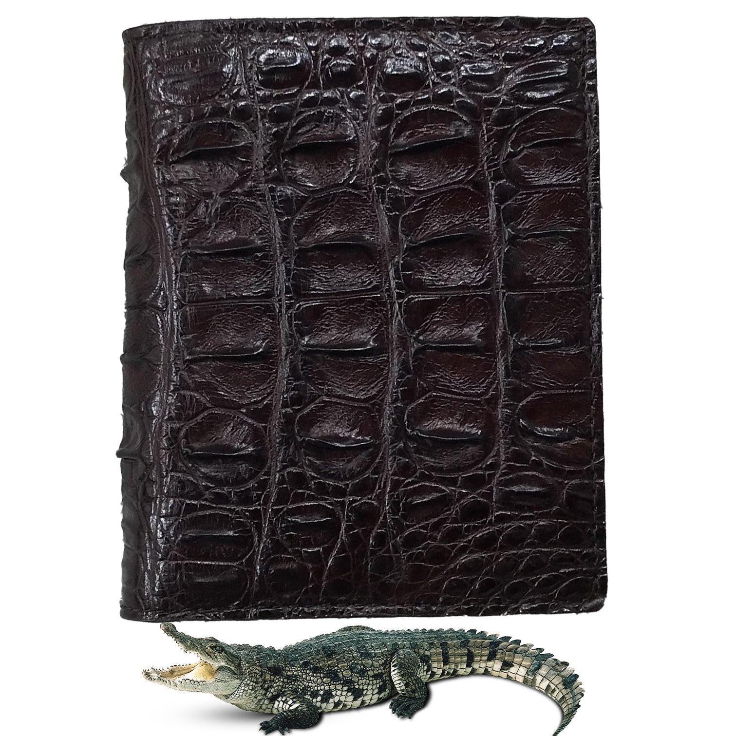 Dark Brown Alligator Skin Bifold Vertical Wallet For Men | Handmade Crocodile Leather Wallet RFID Blocking | VL5694 - Vinacreations