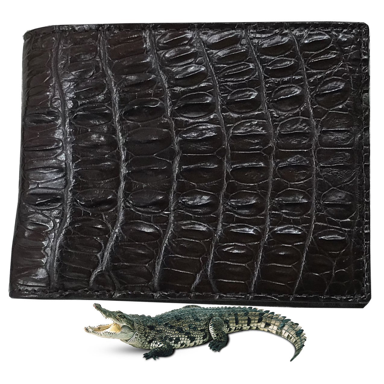 Dark Brown Alligator Skin Bifold Wallet For Men | Handmade Crocodile Leather Wallet RFID Blocking | VL5701 - Vinacreations