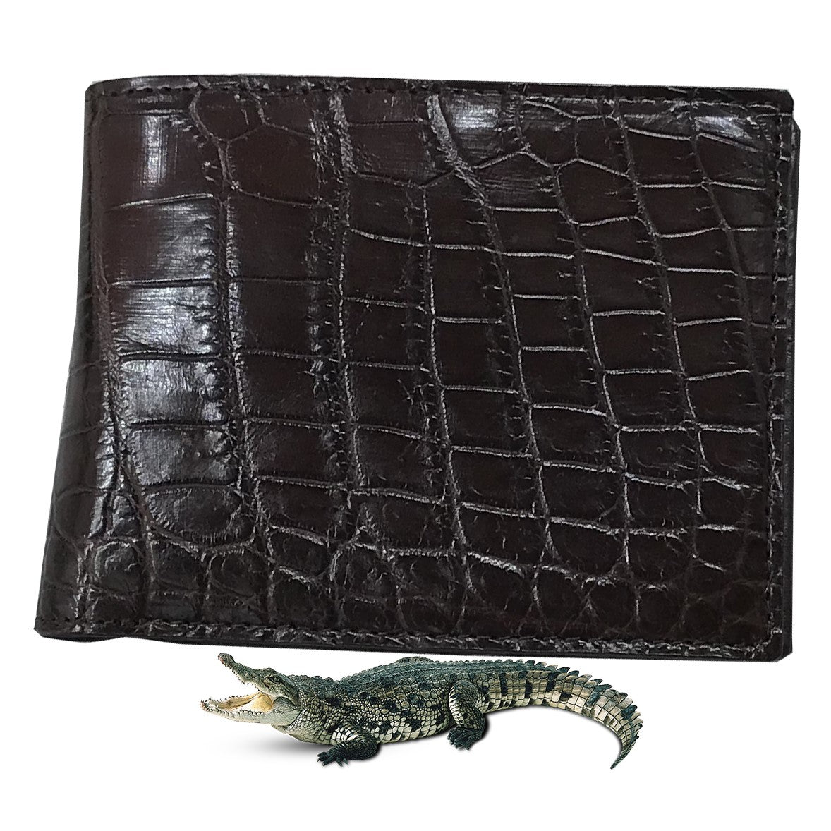 Dark Brown Alligator Skin Bifold Wallet For Men | Handmade Crocodile Leather Wallet RFID Blocking | VL5705 - Vinacreations