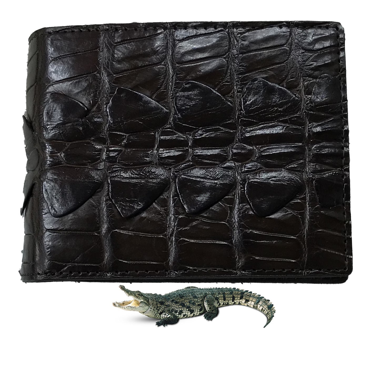 Dark Brown Alligator Tail Skin Bifold Wallet For Men | Handmade Crocodile Leather Wallet RFID Blocking | VL5733 - Vinacreations