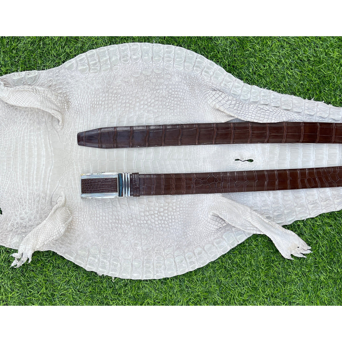 High-end Dark Brown Alligator Belt Men's - Automatic Buckle | BE-DAR-03 - Vinacreations