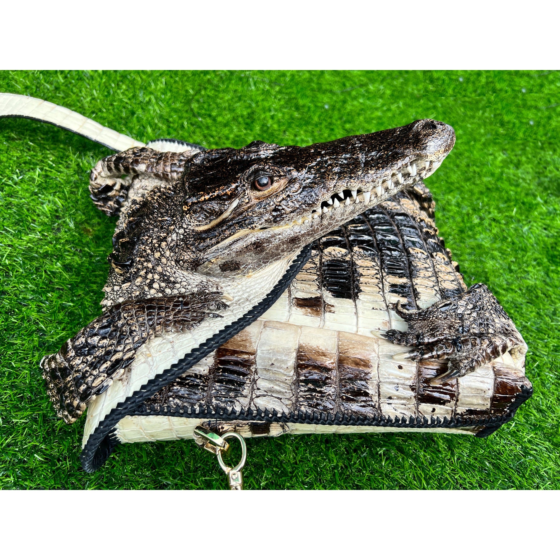 Natural Alligator Leather Crossbody Shoulder Bag, Casual Daypack Work Business - Vinacreations