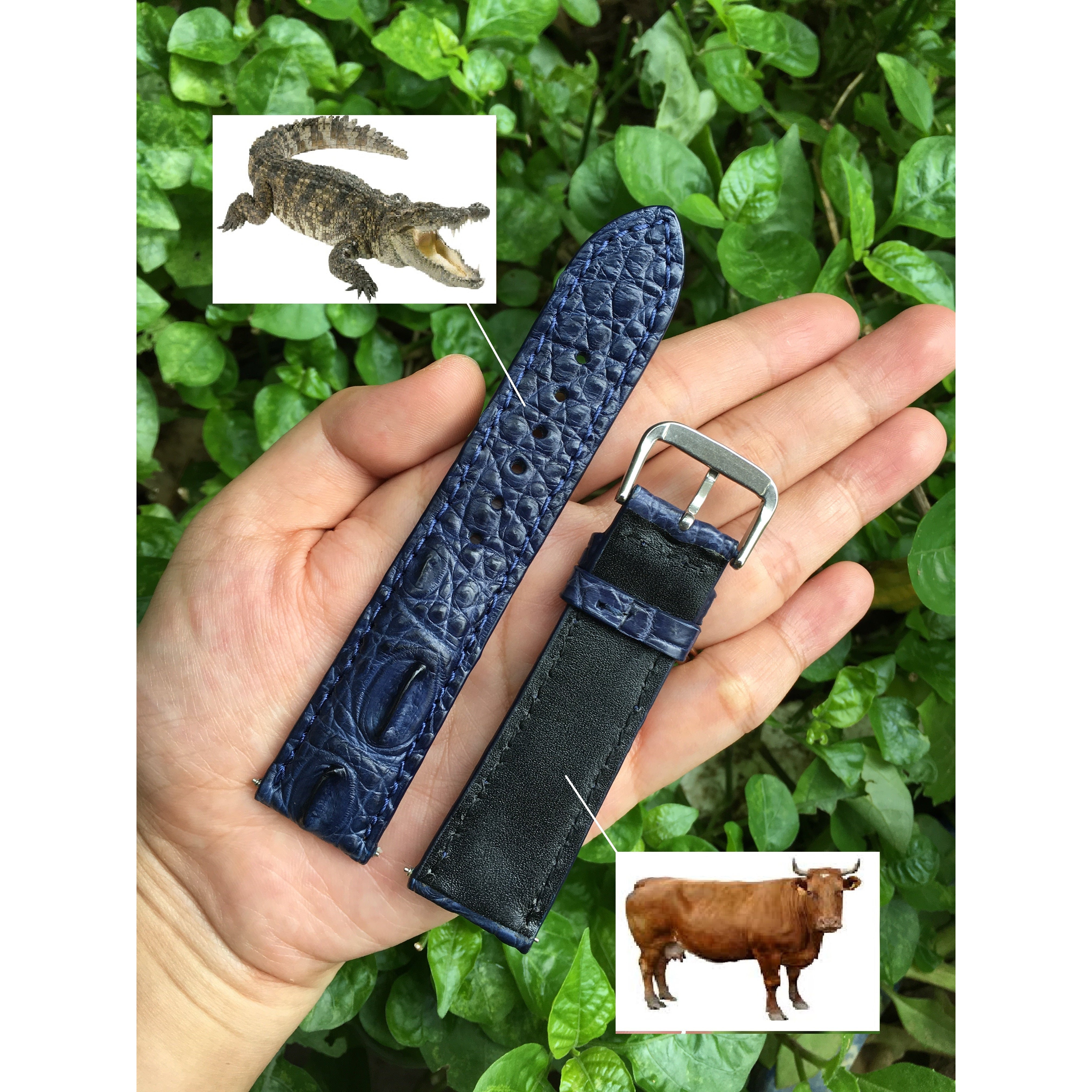Navy Blue Alligator Leather Watch Band | Crocodile Quick Release Replacement Wristwatch Strap | DH-39 - Vinacreations
