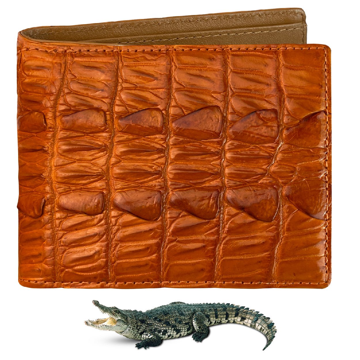Orange Alligator Tail Leather Bifold Wallet For Men | Handmade Crocodile Wallet RFID Blocking | VINAM-105 - Vinacreations