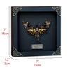 Real Death Head Moth Acherontia Entomology Wood Framed Black - Vinacreations