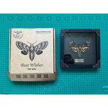 Real Death Head Moth Acherontia Entomology Wood Framed Black - Vinacreations